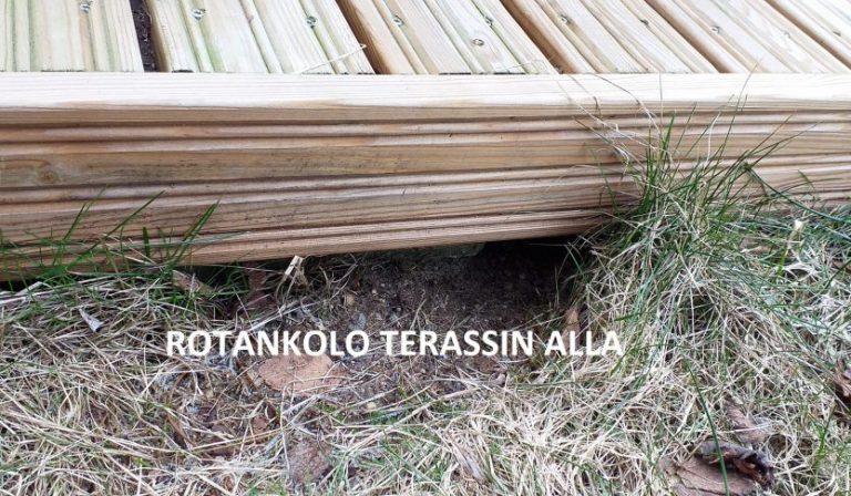 rotankolo terassin alla.